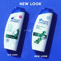 Itchy Scalp Shampoo