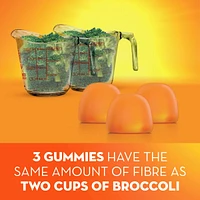 Fibre Gummies, No Sugar Added, Orange Flavour, Prebiotic, Plant-Based, 105 Count