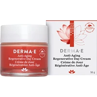 Anti Aging Regenerative Night Cream