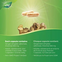 Ginger Root