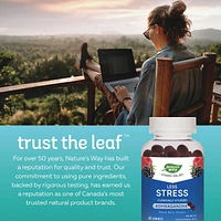 Less Stress Gummies