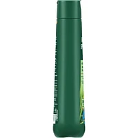 Aloe Mist Moisturizing Body Wash for Men