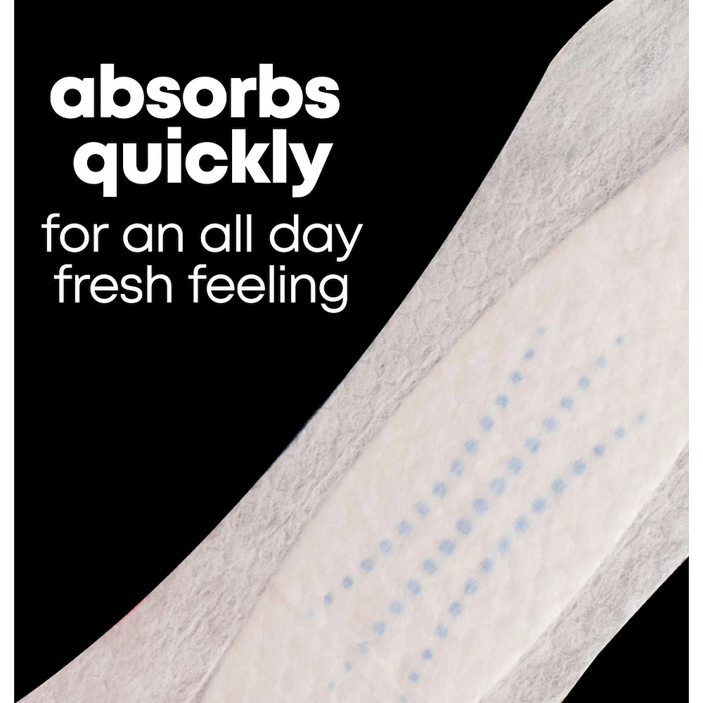 Barely There Thin Panty Liners, Light Absorbency, Long, 90 ct