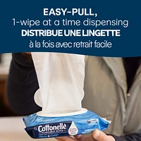 Fresh Care On-The-Go Flushable Wet Wipes, Adult Wet Wipes