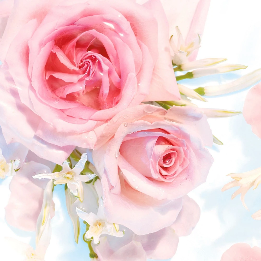 Fresh Outlast Rose Water & Sweet Nectar Body Wash