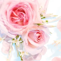 Fresh Outlast Rose Water & Sweet Nectar Body Wash