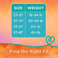 Pampers Easy Ups Training Underwear Girls Size 7 5T-6T 46 Count