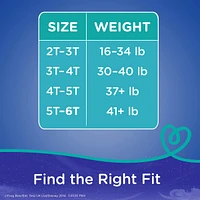 Pampers Easy Ups Training Underwear Boys Size 7 5T-6T 46 Count