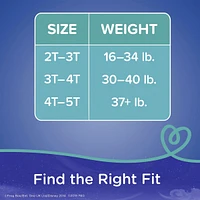 Pampers Easy Ups Training Underwear Boys Size 6 4T-5T 56 Count