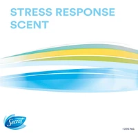 Clinical Strength Invisible Solid Antiperspirant and Deodorant, Stress Response