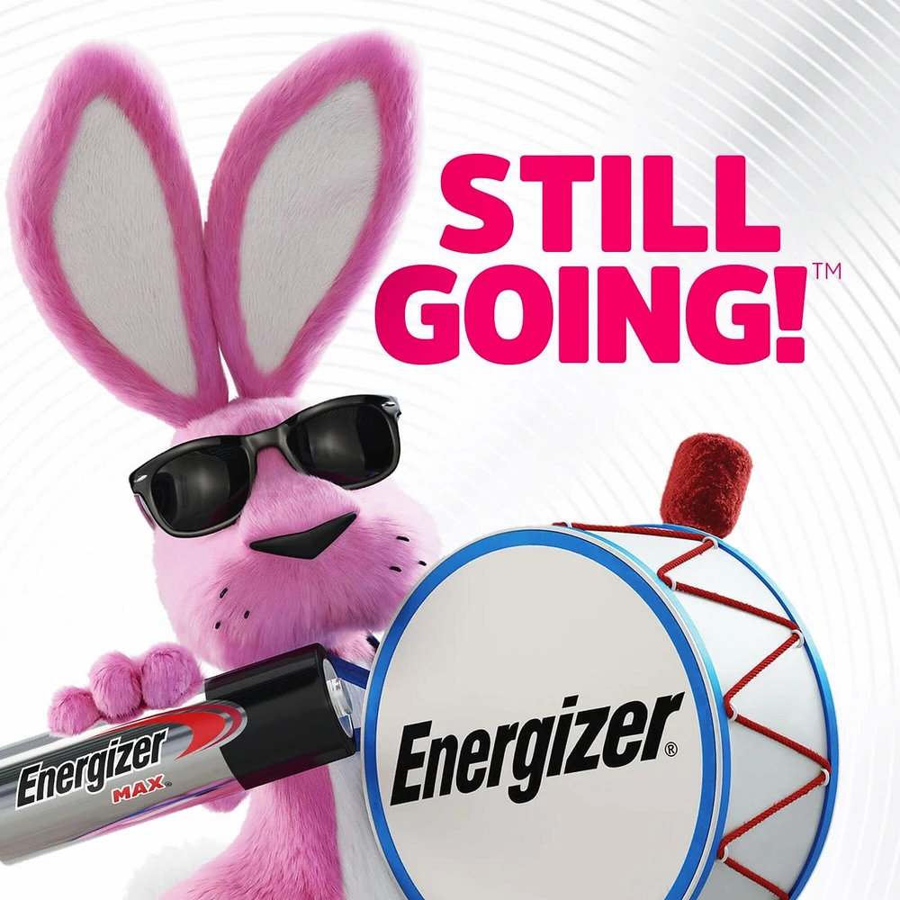 MAX Alkaline D Batteries