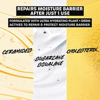 Barrier Bestie Ultra Whip Face Cream, Moisturizer with Sugarcane Squalane and Ceramides