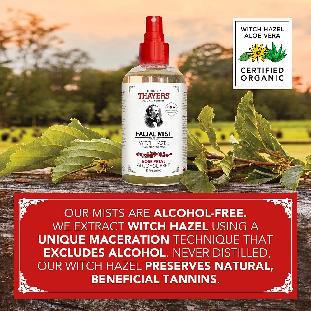 Rose Petal Alcohol-Free Witch Hazel Face Mist with Aloe Vera
