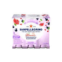 Carbonated Fruit Beverage Pomegranate & Blackcurrant