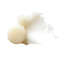 Organic Wear® - Lip Treatment