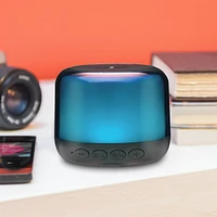 Bluetooth Mini Speaker