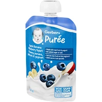 Apple Banana Blueberry Yogurt Purée