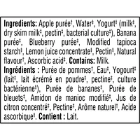 Apple Banana Blueberry Yogurt Purée