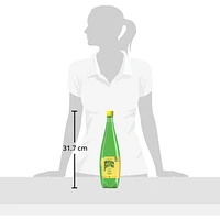 Forever Lemon, Sparkling Water Beverage, Natural Lemon Flavour, No Calories, No Sweeteners, No Sodium, Sourced & Bottled In France
