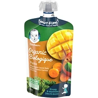 Organic Purée Mango Apple Carrot Kale Baby Food