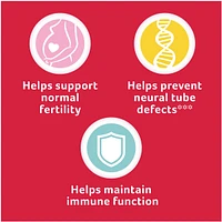 Prenatal Multivitamin, 100 tablets
