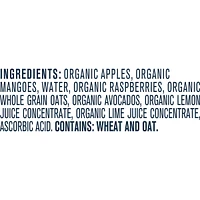 Organic Toddler Purée Apple Mango Raspberry Avocado Oat
