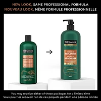 Botanique Nourish & Replenish Shampoo for dry hair + Coconut Extract formulated with Pro Style Technology™
