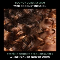 Botanique Damage Recovery Conditioner for damaged hair repair + Avocado Oil Protein formulated with Pro Style Technology™