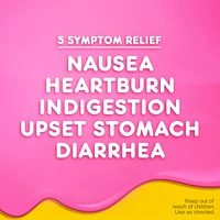 Cherry Chewables for Nausea, Heartburn, Indigestion, Upset Stomach, & Diarrhea Relief 24 ct