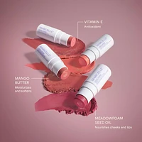 Cheek Loving and Lip Multi-Stick