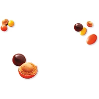 Chocolate, Reese  Pieces with Peanut Pouch