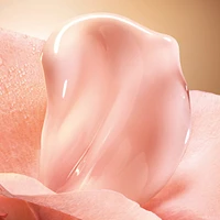 Absolue Soft Cream Gift Set