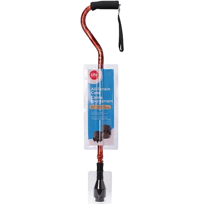 All-terrain Cane