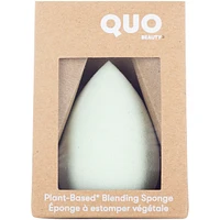 Plant Based Sponge