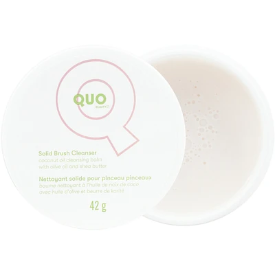 Solid Brush Cleanser