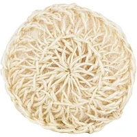 Sisal Exfoliating Sponge
