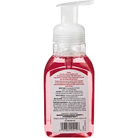Pomegranate & Mango Foaming Hand Soap