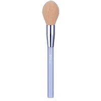 Essential Brush Set