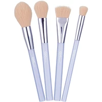 Essential Brush Set