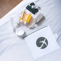 Clear TSA Pouch