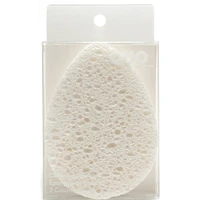 Cellulose sponge 2 PK