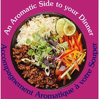 Rice Side Dish Jasmine Rice