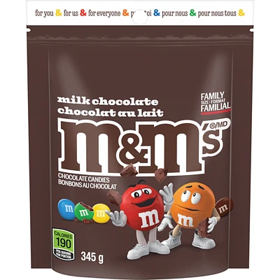 Chocolate Candies Milk Chocolate Family Size