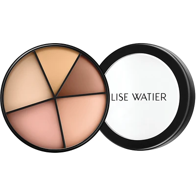 Portfolio Professional Correctors 4-in-1 for Light to Medium Complexions