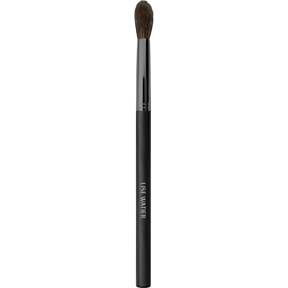 Definition Brush