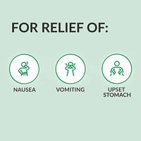 Ginger Non-Drowsy Liquid Gel Capsules