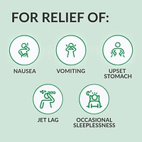 Ginger Nighttime Tablets with Melatonin