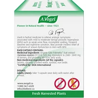 Prostate 1 - Saw Palmetto for enlarged prostate