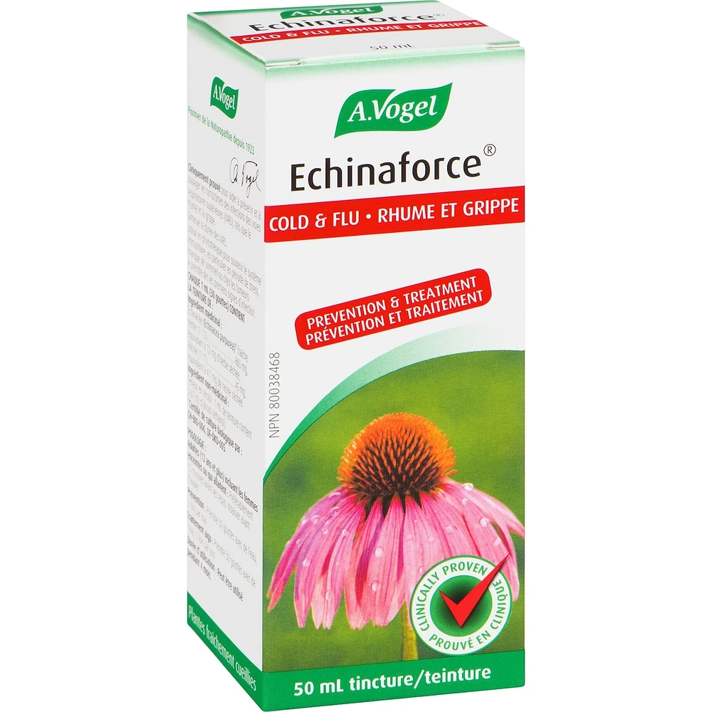 Echinaforce Immune Support for cold and flu