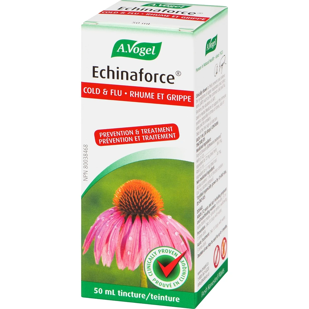 Echinaforce Immune Support for cold and flu